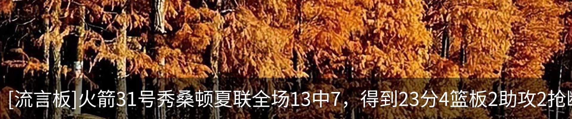 最新动态